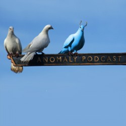 Anomaly Podcast