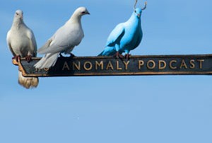 The genesis of the Anomaly Pigeon