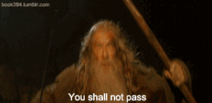 You Shall Not Pass Gif